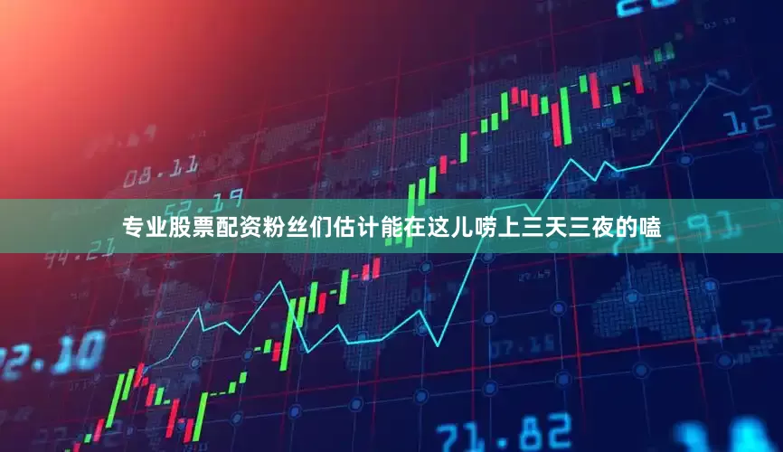 专业股票配资粉丝们估计能在这儿唠上三天三夜的嗑